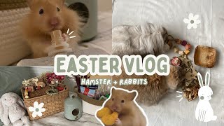 Easter Vlog with 2 Rabbits + Hamster