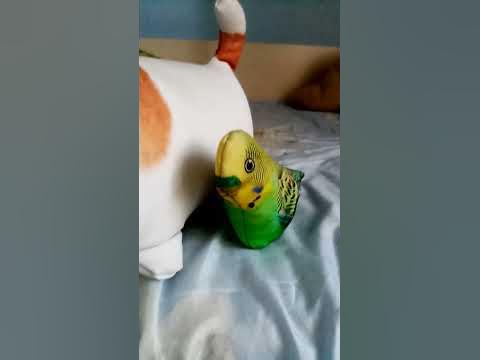 Мои игрушки блоп топ - YouTube