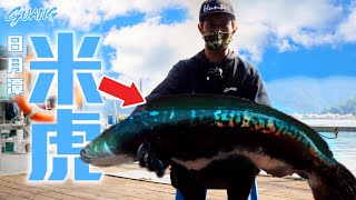 The world's largest record!!!!!!Taiwan is such a great place! Snakehead fishing/bait