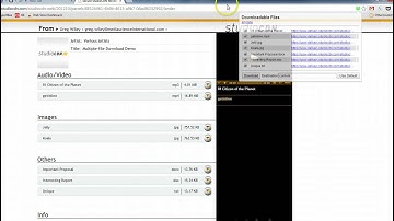 Multiple-file Downloader Demo