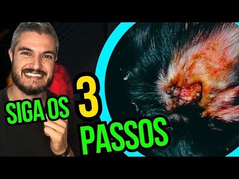 Vídeo: Como remover grampos cirúrgicos em cães