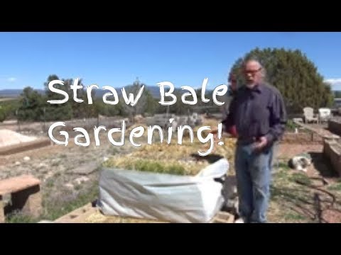 building-straw-bale-garden---s