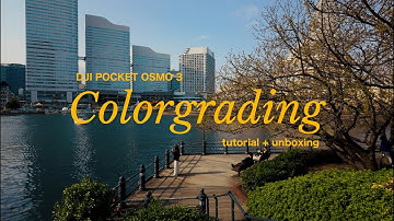 DJI Osmo Pocket 3 Unboxing + How I Color Grade My Footage