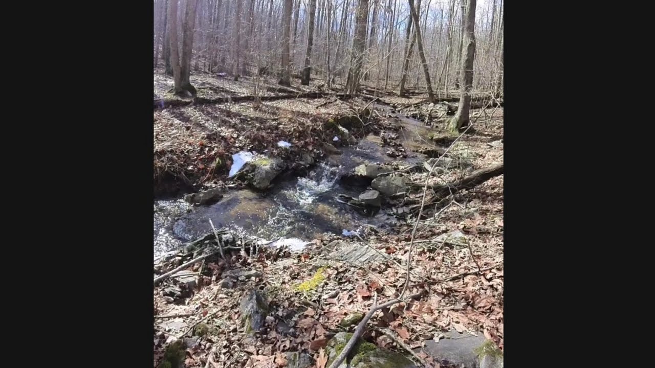 Hiking on the Appalachian Trail from Keys Gap To Harpers Ferry 