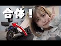 レブル250にトップケース付けてみたら人生変わったよ✨【GIVIモノロックケース】