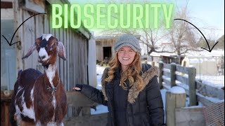 🦠Biosecurity🦠 on the Farm!