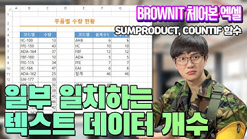 👨‍🏫 텍스트의 일부가 일치하는 데이터의 개수를 구하는 방법(With SUMPRODUCT 함수 활용 방법과 COUNTIF 함수 활용 방법) | 브라운IT 체어본 엑셀
