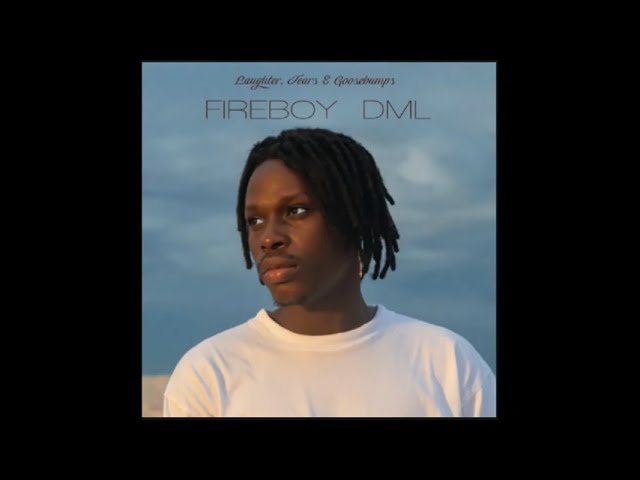 FireBoy DML : What If I Say Lyrics class=