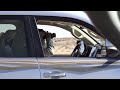 سق ياسعد اداء عبدالعزيز العليوي من مقناص العراق2016 سق ياسعد اداء عبدالعزيز العليوي من مقناص العراق2016