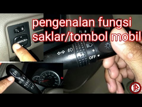 Video: Menyemai tomato: masa, penyediaan benih