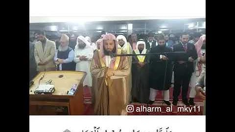 تلاوه هادئه للشيخ صالح ال طالب