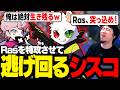 【GET WIIINGS CUP】Rasを特攻させるため「俺は絶対生き残る」と逃げ回るシスコw【APEX/ふらんしすこ/切り抜き】