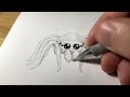Un dessin facile d’une araignée kawaii ! [Tuto]