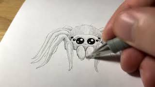 Un dessin facile d’une araignée kawaii ! [Tuto]