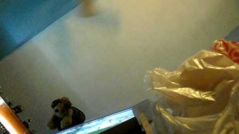 She No Numa Strategy Part 4 FAIL