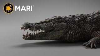 Crocodile Texture and Lookdev Turntable | Closeup - Tutorial available NOW