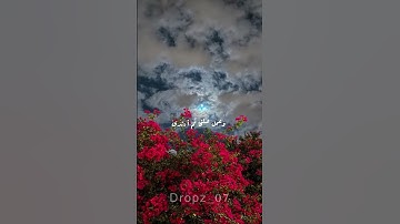 القارئ عمر ضياء الدين #سورة طه