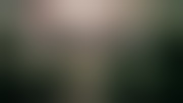 DWC Hydroponic Cannabis Grow Ep 2. Germination & Seedlings