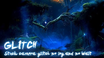 Ori, the will of the wisps: Stuck camera glitch no log and no wait