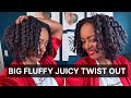 JUICY TWIST OUT RESULTS 💦  | All Black Owned Products
