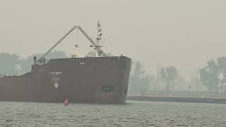 Pathfinder Making Its Way Through..#viral #wildfiresmoke #ships #foryou #saginawriver #enjoy