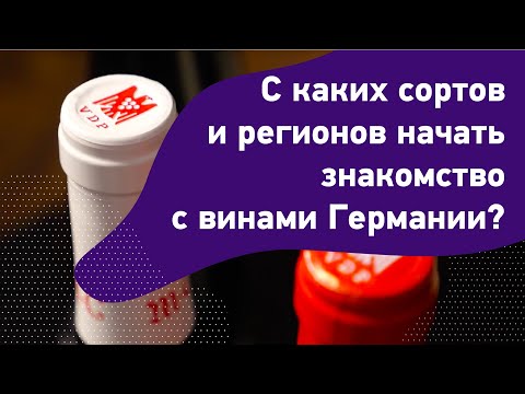С каких сортов и регионов начать знакомство с винами Германии? Как выбрать немецкое вино. Зект.