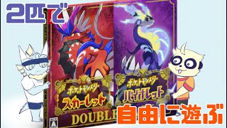 【ポケモンSV】2匹で自由に遊ぶ【おとうさんといっしょ】