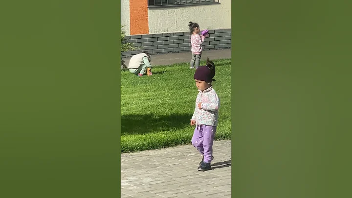 Video 11240841: sphynx cat playing, sphynx cat cute, cat playing game