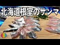 【魚】 北海道産地直送サンマを捌いていくっっ！【根室】【さんま】【刺身】【苦手】Vol.73