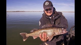 Walleye Spawning