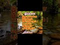 || சொர்க்கரதம் புனிதமதம் ||இயற்கை || #trending #shorts #youtubeshorts #viralvideo #nature #love #new