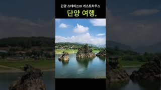 단양 여행, 하루의 피로를 녹여줄 곳을 찾으시나요? 그렇다면 단양 스테이230 게스트하우스!#쇼츠 #shorts