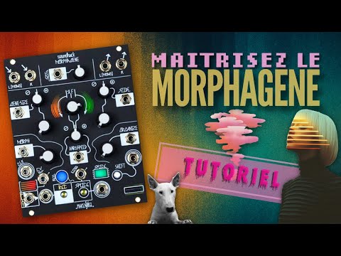 Maîtrisez le Morphagene | Tutoriel complet sur ce fabuleux module Eurorack de Make Noise