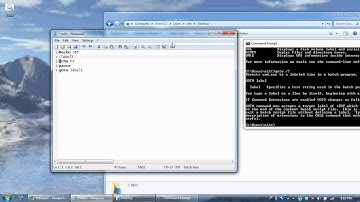 Batch Tutorial 3 - Labels