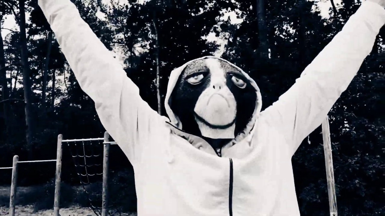 SEASURFER - Too Wild (Official Video)