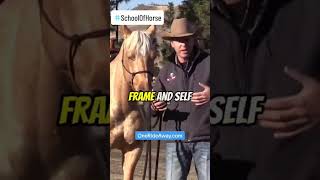 Feet are the access… #SteveRotherHorsemanship #horsetrainingtips #schoolofhorse #HorsesOfTikTok