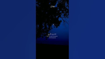فَاصْبِرْ عَلَىٰ مَا يَقُولُونَ وَسَبِّحْ بِحَمْدِ رَبِّكَ|القارئ ماهر المعيقلي#قرآن