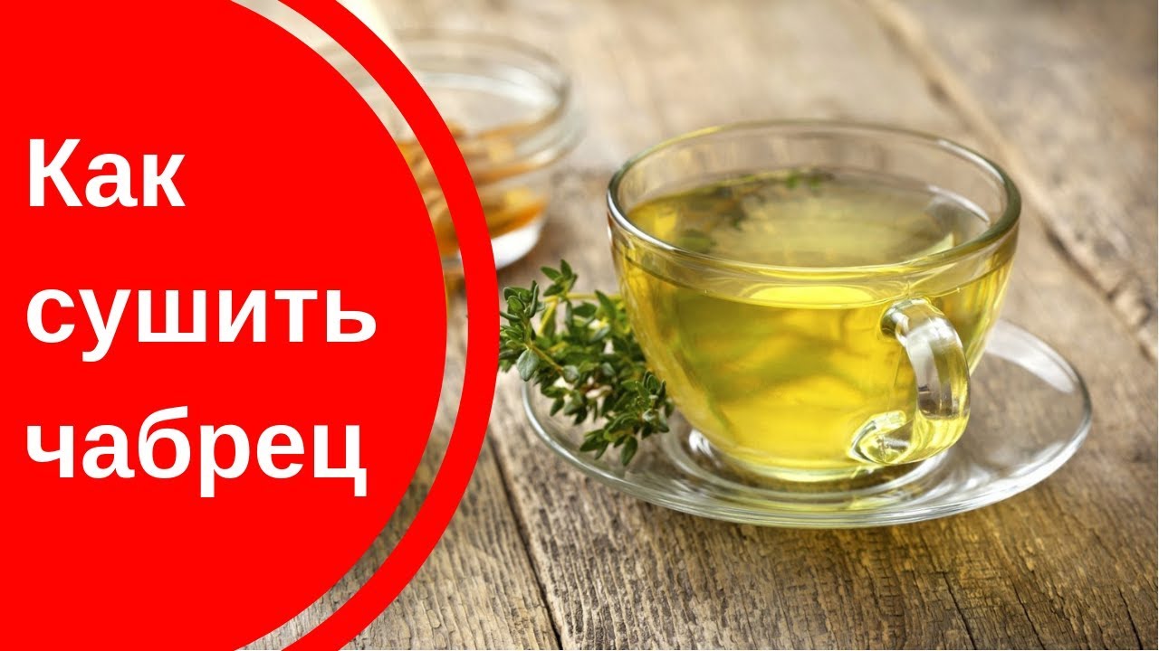 Сушим чабрец / как сушить чабрец