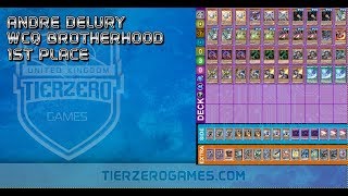 Yugioh 1st Place Brotherhood Regional Thunder Danger Deck Profile - Andre Delury Feb 2019