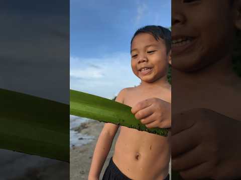 Experiment Perahu Daun 🤣🤣