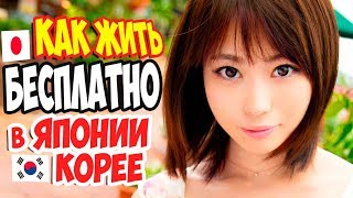 Как Бесплатно Жить В Японии И Корее. Как Дешево Уехать. Мой Опыт