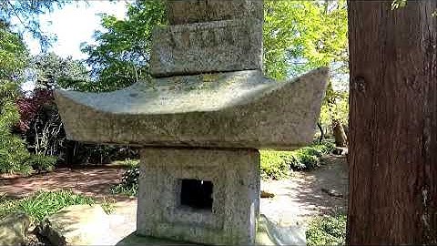 FeiyuTech G6 gimbal with Yi 4K - sample video