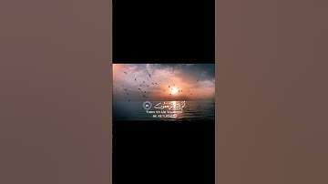 قران كريم - كُلُّ نَفْسٍ ذَائِقَةُ الْمَوْتِ - اجر لي ولكم ولجدتي رحمة الله عليها❤️