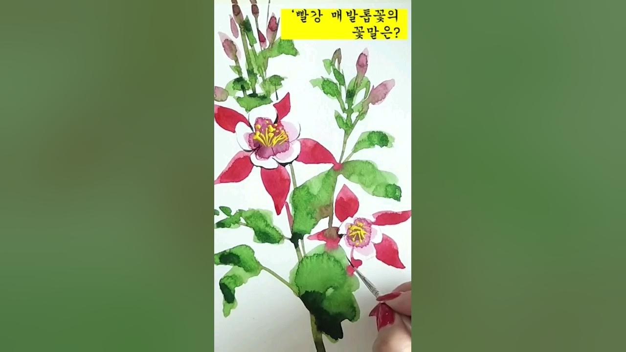 탄생화(6월2일)-꽃말은?#Watercolor_Painting #꽃점 #꽃그림 - Youtube