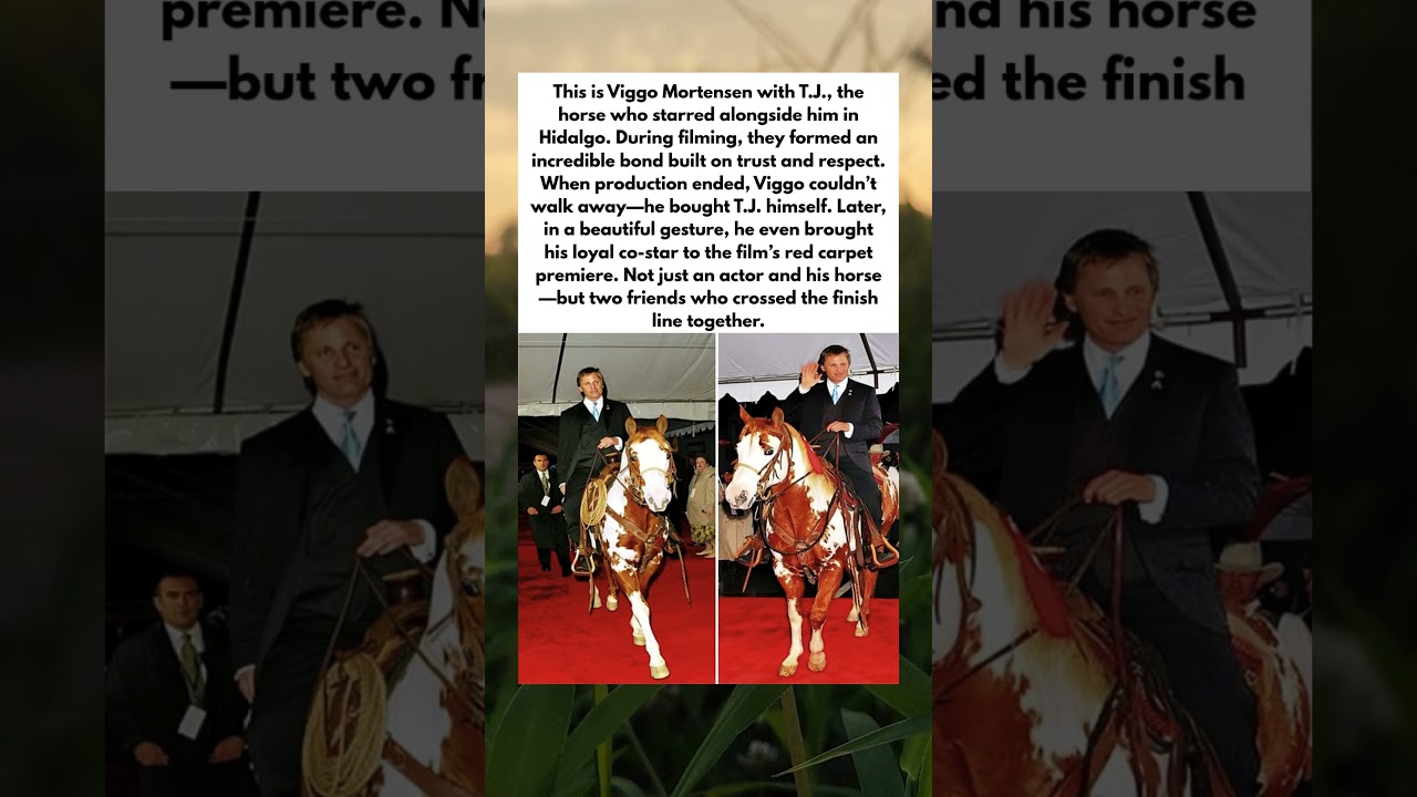 Watch Viggo Mortensen Rode His Horse Hidalgo To The Red Carpet on YouTube Watch Viggo Mortensen Rode His Horse Hidalgo To The Red Carpet on YouTube