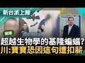 【精華】一合作就出包？謝國樑&quot;蝙蝠會下蛋&quot;引發熱議 楊寶禎任推廣大使也救不回市長的&quot;快樂發言&quot;？王義川笑：因為這句寶寶可能被扣到剩2000！｜李正皓 主持｜【新台派上線】20240418｜三立新聞台