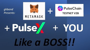 Add Pulse Chain TestNet V2B and PULSEX to your MetaMask or Other Wallet  Quickly and Easily!
