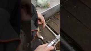 Дідівські Снасті Жарять! Біла Риба з Човна 🎣#Рибалка #БілаРиба #ДідівськіСнасті #Човен #Риболовля