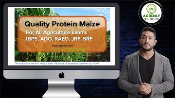 Quality Protein Maize QPM   for All Agriculture Exams IBPS AFO, ADO, RAEO, JRF, SRF, CUET EXAM