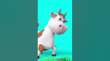 Thumbnail of What Sound do Cows make? 🐮 | Funny Video for Kids | Heykids - Nursery Rhymes #shorts